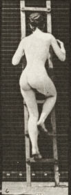 Plate 112 Ascending a ladder — figure reference